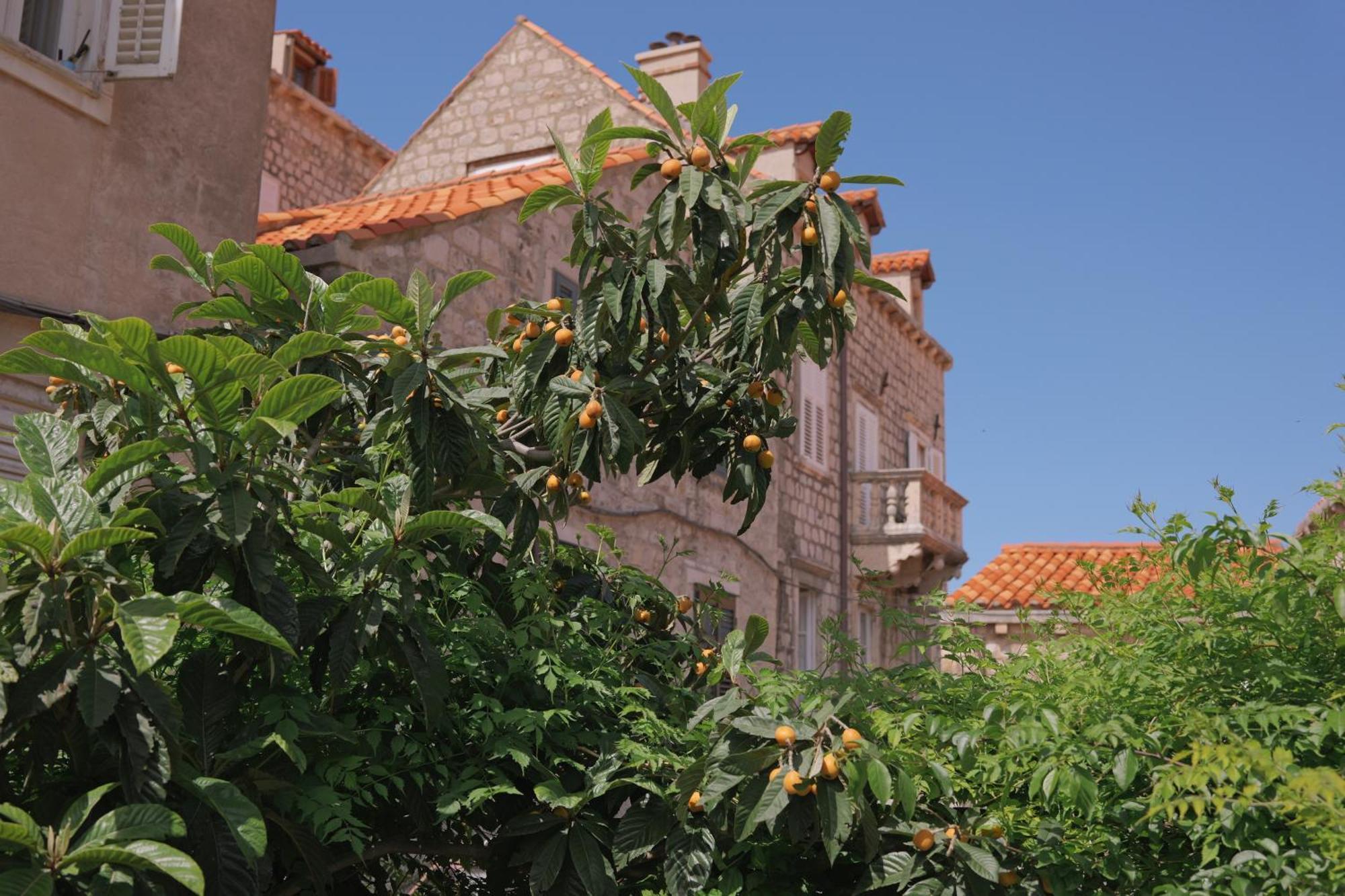 Old Town Green Oasis House Dubrovnik Exterior photo